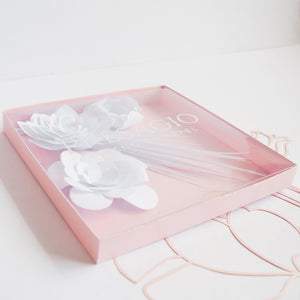 CAJA LUMINIA BOX