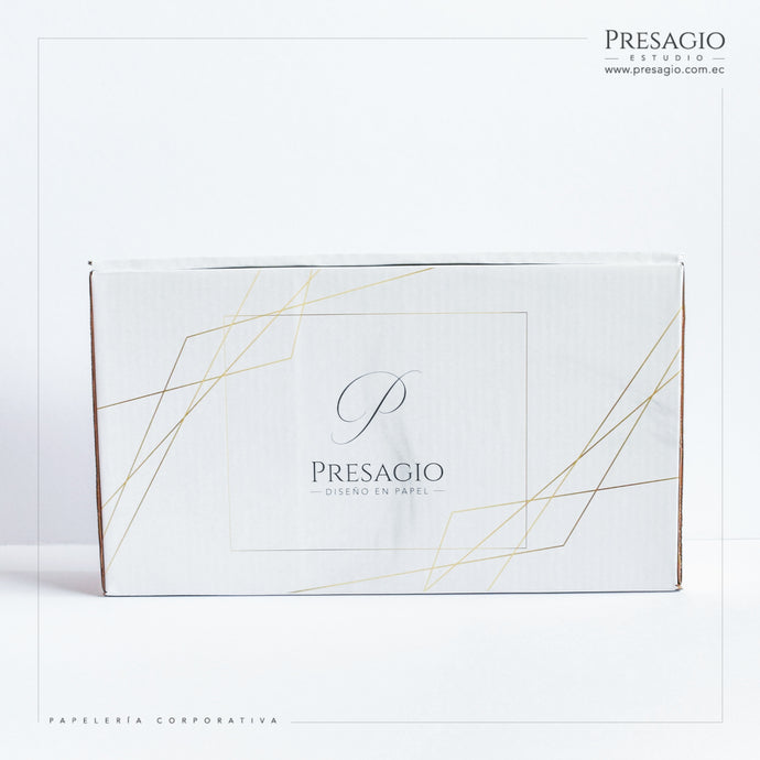CAJA CORRUGADA ARCA BOX GRANDE