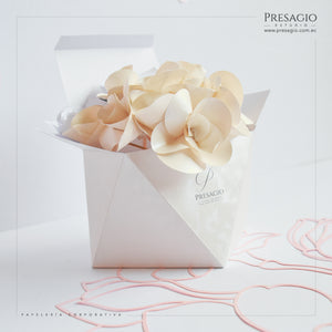CAJA PRISMA BOX