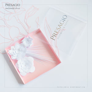 CAJA LUMINIA BOX
