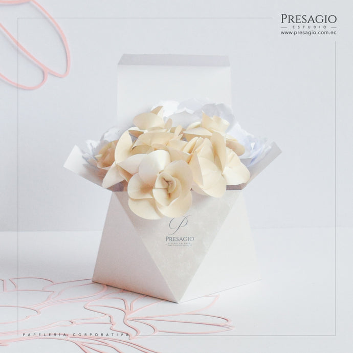CAJA PRISMA BOX
