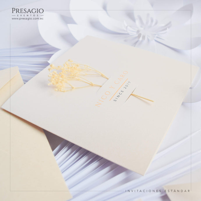 INVITACIÓN SIMPLE ENVELOPE DIP ALBA